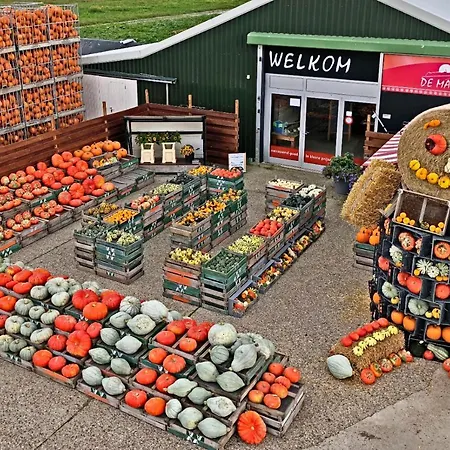 Casa de Férias Hotelhuisje #e *