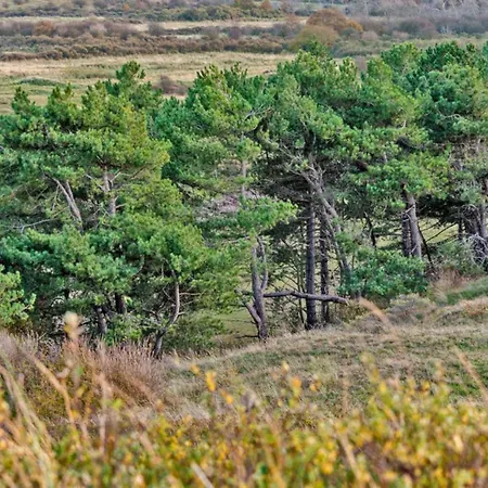 Hotelhuisje #e Casa de Férias