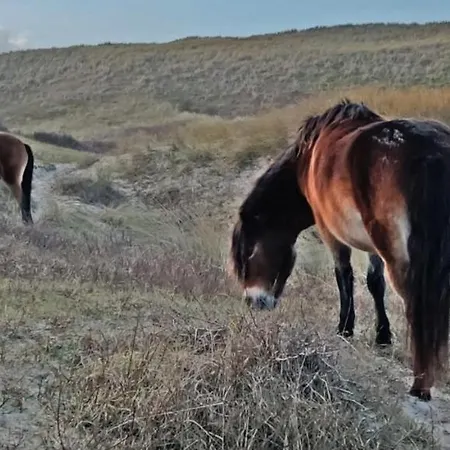 Hotelhuisje #e Casa de Férias Warmenhuizen