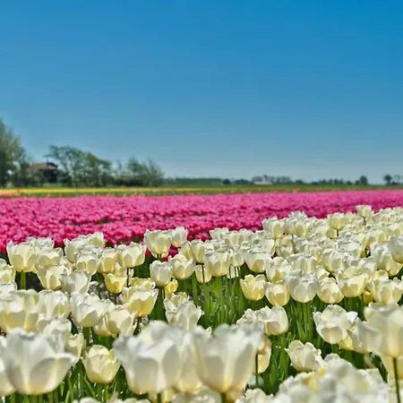 Hotelhuisje #e Casa de Férias Warmenhuizen