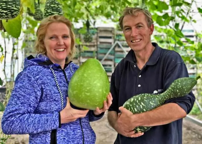 Hotelhuisje #e Casa vacanze Warmenhuizen