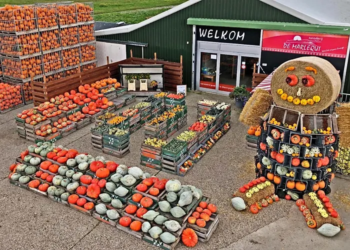 Casa vacanze Hotelhuisje #e *