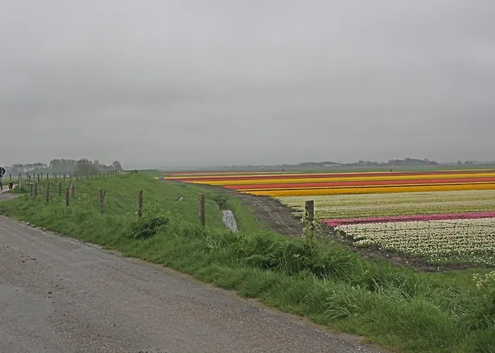 Hotelhuisje #e * Warmenhuizen