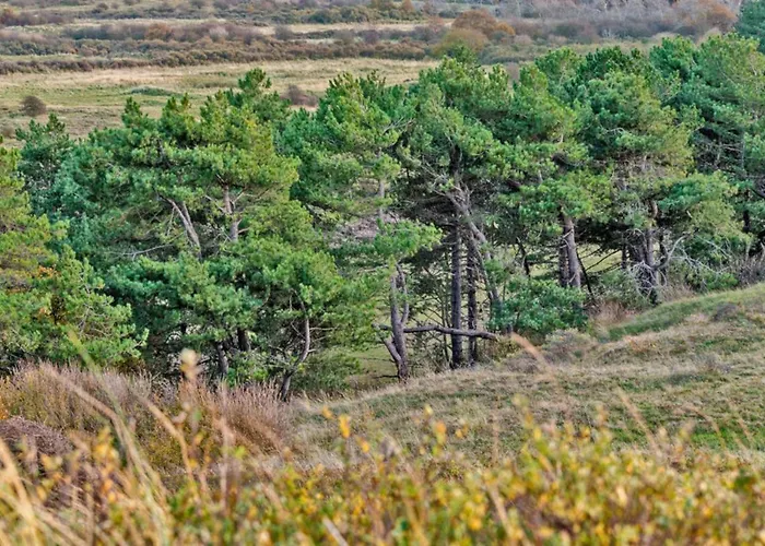 Hotelhuisje #e Casa vacanze