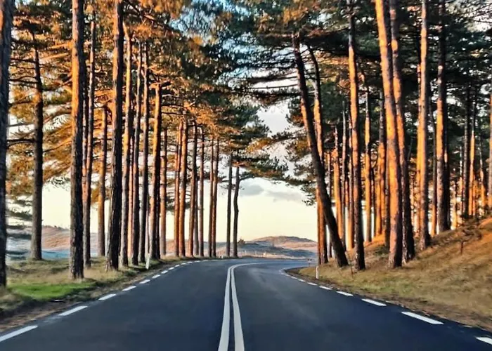 Hotelhuisje #e Casa vacanze